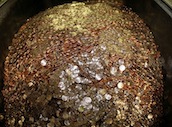pennies.jpg